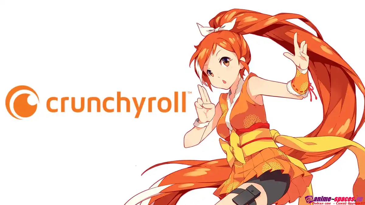 Гении, не иначе — Crunchyroll скрыл магазин реальных товаров за пейволлом и словил тонну негатива от фанатов